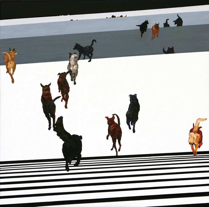 dog walkers