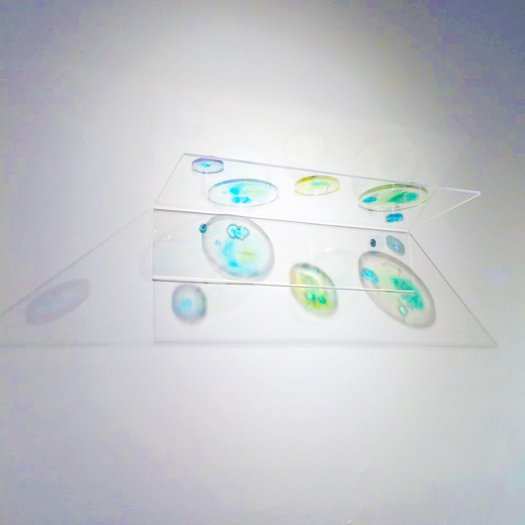 浮游行星/2015（直徑5.5cm-數件(售價為單件售價)）